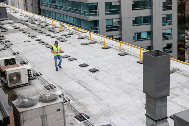 Best Skylight Installation and Repair  in Salem Heights, OH